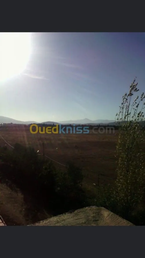Vente Terrain Batna Ouyoun el assafir