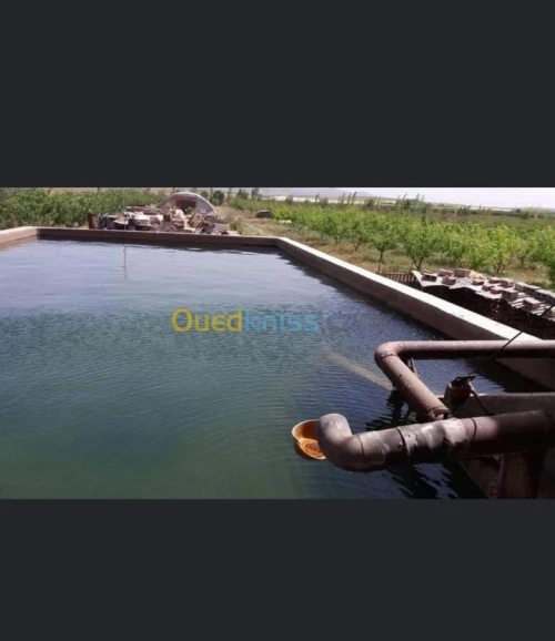 Vente Terrain Batna Ouyoun el assafir