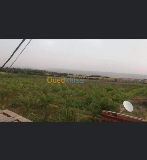 Vente Terrain Batna Ouyoun el assafir