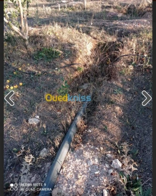 Vente Terrain Batna Ouyoun el assafir