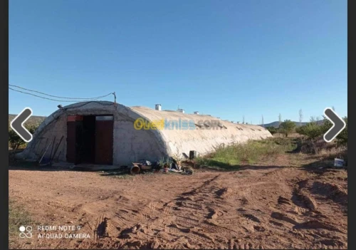 Vente Terrain Batna Ouyoun el assafir