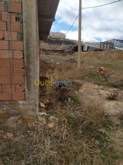 Vente Carcasse Tlemcen Mansourah