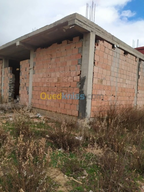 Vente Carcasse Tlemcen Mansourah