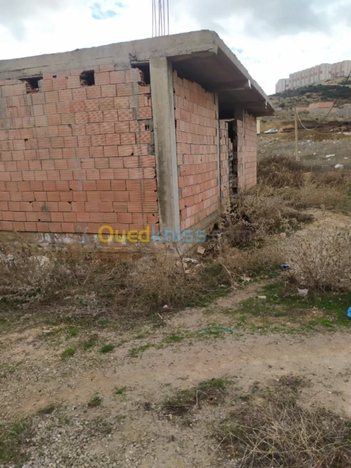 Vente Carcasse Tlemcen Mansourah