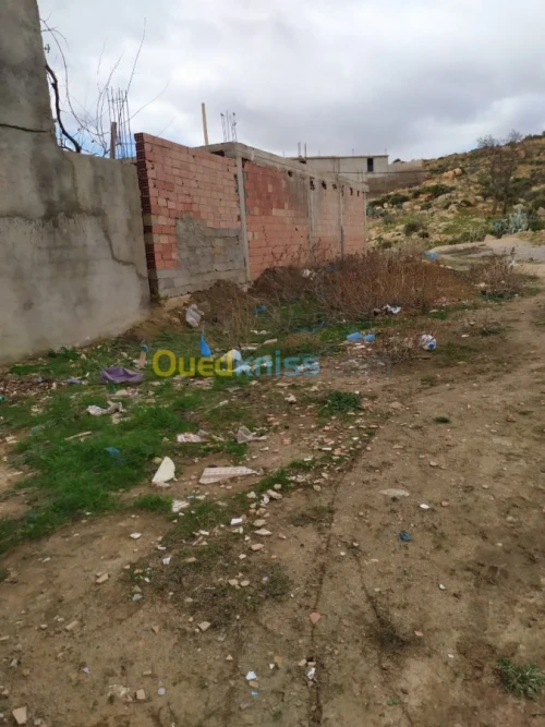 Vente Carcasse Tlemcen Mansourah