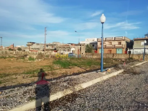 Vente Terrain El taref Ain el assel