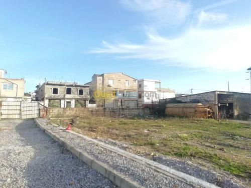 Vente Terrain El taref Ain el assel