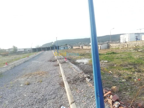 Vente Terrain El taref Ain el assel