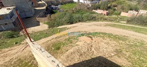 Vente Terrain Blida Soumaa