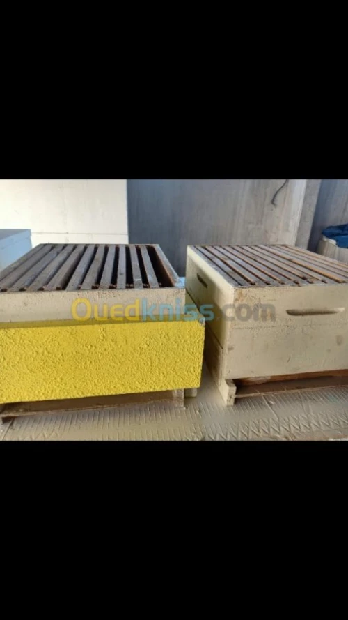 rucheS d'abeille en polystyréne 