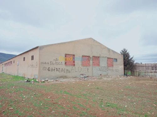Location Hangar Batna Ouyoun el assafir