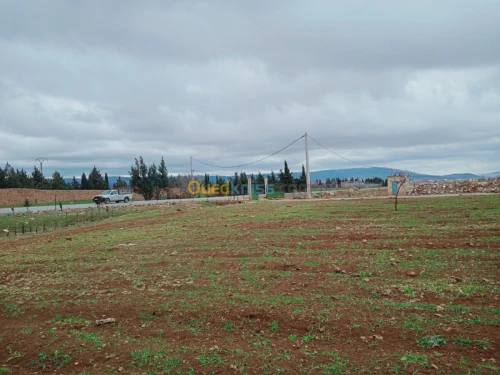 Location Hangar Batna Ouyoun el assafir