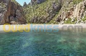 Vente Carcasse Tlemcen Honaine