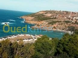 Vente Carcasse Tlemcen Honaine