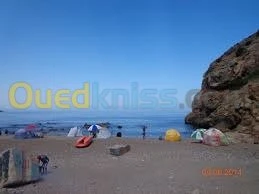 Vente Carcasse Tlemcen Honaine