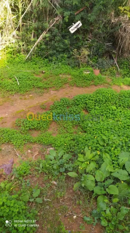 Vente Terrain Alger Birkhadem
