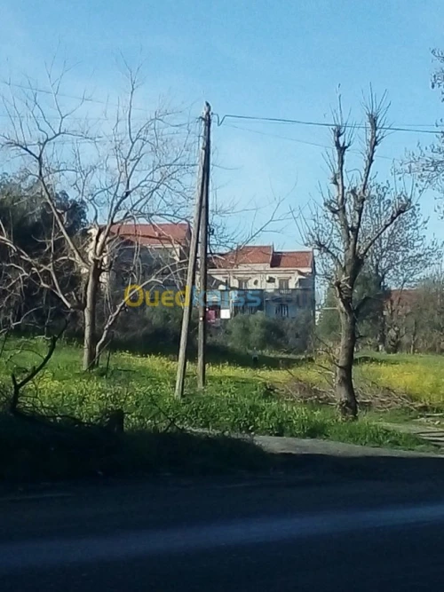Vente Niveau De Villa F4 Tizi ouzou Azazga