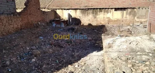 Vente Terrain Sidi bel abbes Boukhanafis