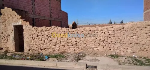 Vente Terrain Sidi bel abbes Boukhanafis
