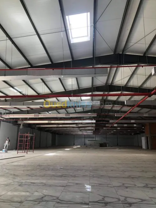 Desenfumage Naturel Exutoires de fumé