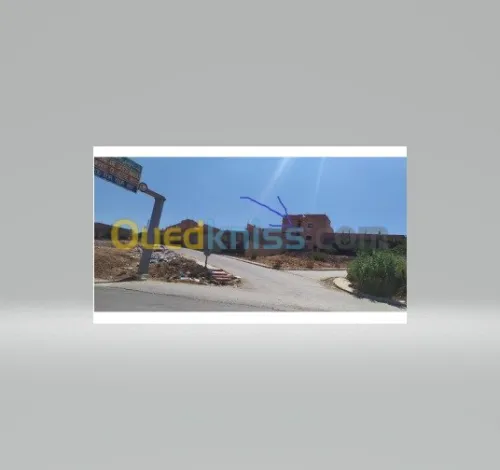 Vente Carcasse Relizane Oued rhiou