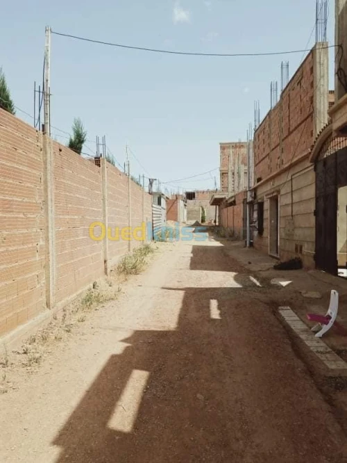 Vente Studio Chlef Chettia