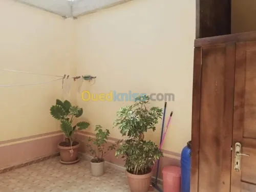 Vente Studio Chlef Chettia