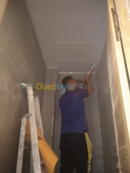 Placoplâtre PVC forex