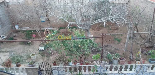 Vente Niveau De Villa F3 Oran Boutlelis