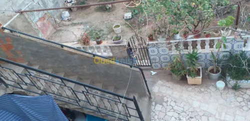 Vente Niveau De Villa F3 Oran Boutlelis