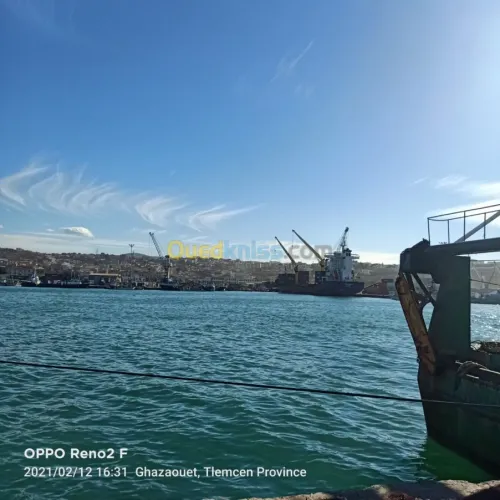 Location Appartement Tlemcen Hammam boughrara