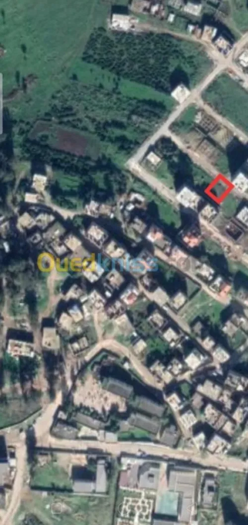 Vente Terrain Skikda Tamalous