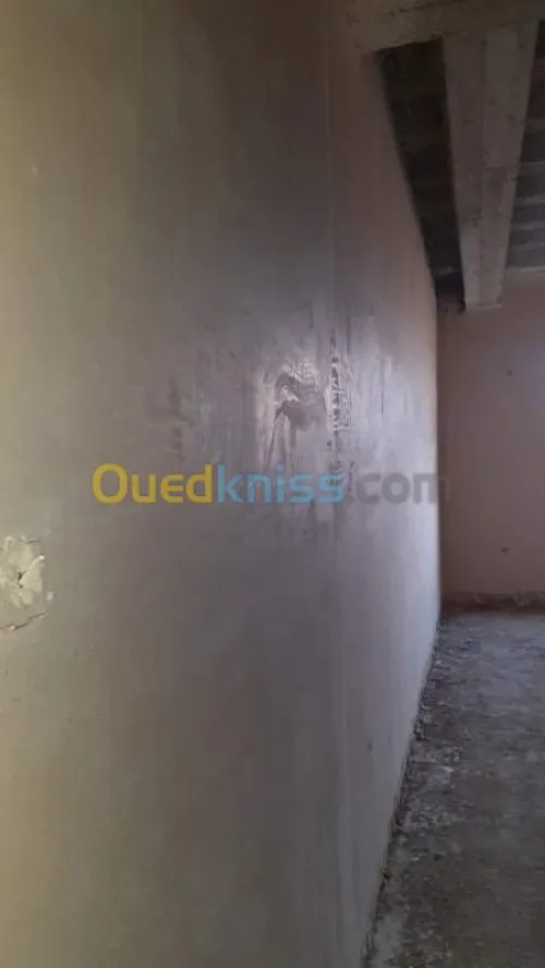 Peinture exterieure monocouche basta
