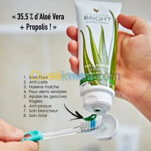 Dentifrice 
