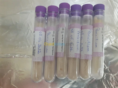 Ferments lactiques مخمرات لبنية