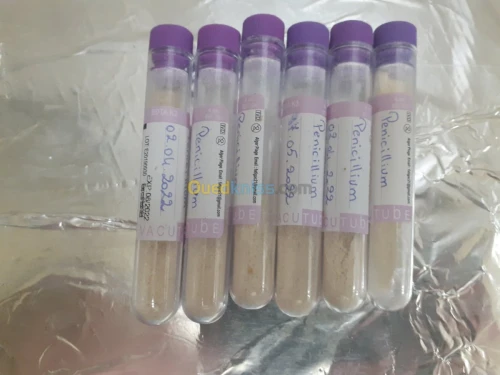 Ferments lactiques مخمرات لبنية