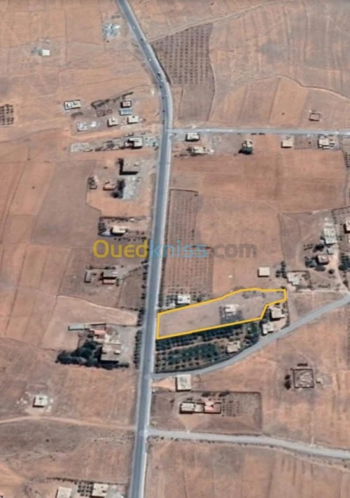 Vente Terrain Batna Guigba