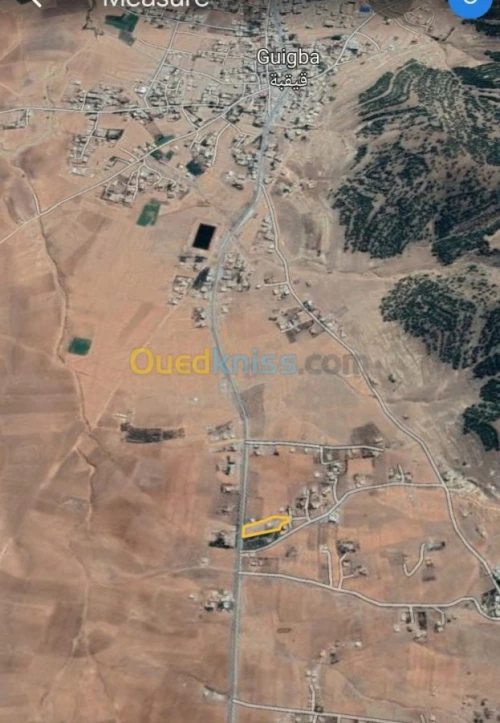 Vente Terrain Batna Guigba