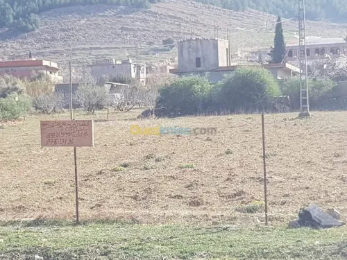 Vente Terrain Batna Guigba