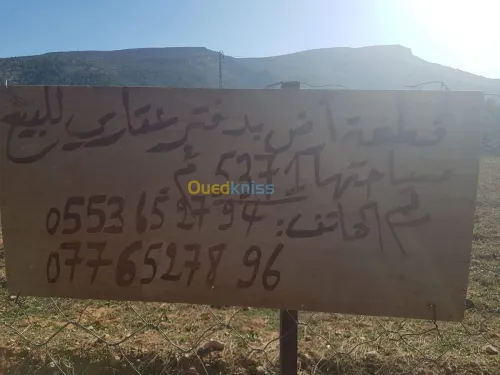Vente Terrain Batna Guigba