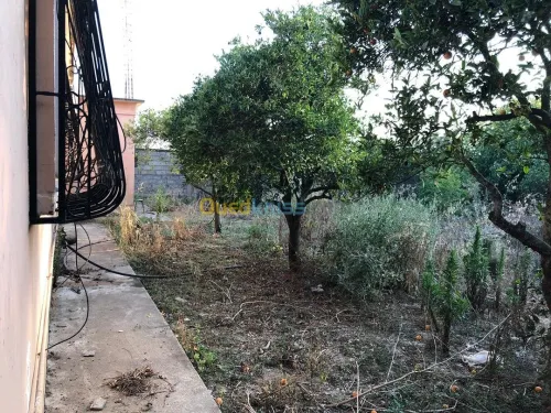 Vente Terrain Boumerdes Boumerdes