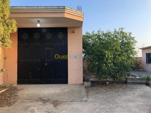 Vente Terrain Boumerdes Boumerdes