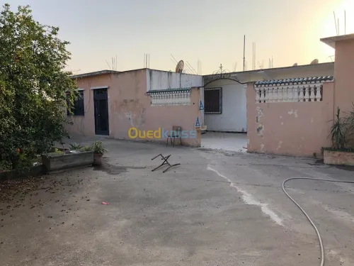 Vente Terrain Boumerdes Boumerdes