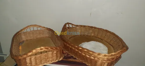 fours a croissant profesionelle ventilé