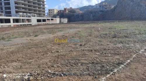 Vente Terrain Alger Hammamet