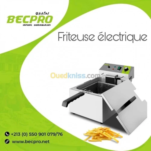 Friteuse électrique ( CHINE-CE ) 
