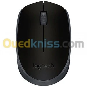 LOGITECH M171 WIRELESS MOUSE (NOIR)