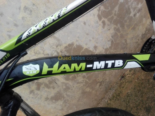 MTB Ham