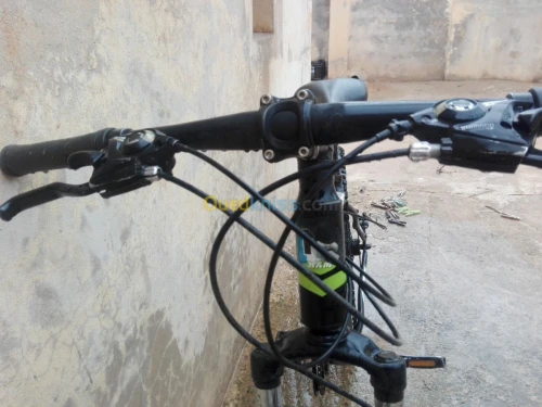 MTB Ham