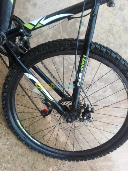 MTB Ham